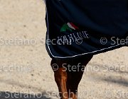 CHIAUDANI Sly GioCav2013 S5 4700 : CHIAUDANI Natale, Horses, Sly della Magnifica, ph Stefano Secchi ©