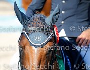 CHIAUDANI Sly GioCav2013 S5 4707 : CHIAUDANI Natale, Horses, Sly della Magnifica, ph Stefano Secchi ©