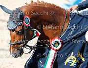 CHIAUDANI Sly GioCav2013 S5 4711 : CHIAUDANI Natale, Horses, Sly della Magnifica, ph Stefano Secchi ©