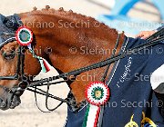 CHIAUDANI Sly GioCav2013 S5 4717 : CHIAUDANI Natale, Horses, Sly della Magnifica, ph Stefano Secchi ©