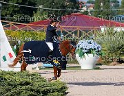 CHIAUDANI Sly GioCav2013 S5 4729 : CHIAUDANI Natale, Horses, Sly della Magnifica, ph Stefano Secchi ©