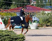 CHIAUDANI Sly GioCav2013 S5 4730 : CHIAUDANI Natale, Horses, Sly della Magnifica, ph Stefano Secchi ©