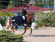 CHIAUDANI Sly GioCav2013 S5 4731 : CHIAUDANI Natale, Horses, Sly della Magnifica, ph Stefano Secchi ©