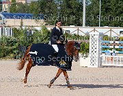 CHIAUDANI Sly GioCav2013 S5 4732 : CHIAUDANI Natale, Horses, Sly della Magnifica, ph Stefano Secchi ©