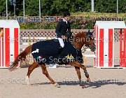 CHIAUDANI Sly GioCav2013 S5 4734 : CHIAUDANI Natale, Horses, Sly della Magnifica, ph Stefano Secchi ©