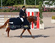 CHIAUDANI Sly GioCav2013 S5 4736 : CHIAUDANI Natale, Horses, Sly della Magnifica, ph Stefano Secchi ©