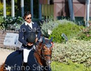 CHIAUDANI Sly GioCav2013 S5 4737 : CHIAUDANI Natale, Horses, Sly della Magnifica, ph Stefano Secchi ©
