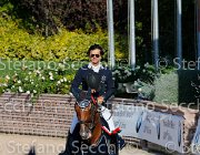 CHIAUDANI Sly GioCav2013 S5 4764 : CHIAUDANI Natale, Horses, Sly della Magnifica, ph Stefano Secchi ©