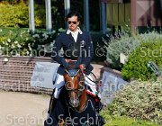 CHIAUDANI Sly GioCav2013 S5 4766 : CHIAUDANI Natale, Horses, Sly della Magnifica, ph Stefano Secchi ©