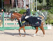 CHIAUDANI Sly GioCav2013 S6 7881 : CHIAUDANI Natale, Horses, Sly della Magnifica, ph Stefano Secchi ©