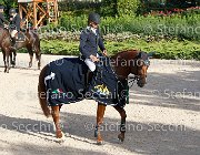 CHIAUDANI Sly GioCav2013 S6 7884 : CHIAUDANI Natale, Horses, Sly della Magnifica, ph Stefano Secchi ©