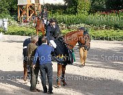 CHIAUDANI Sly GioCav2013 S6 7889 : CHIAUDANI Natale, Horses, Sly della Magnifica, ph Stefano Secchi ©