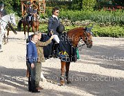 CHIAUDANI Sly GioCav2013 S6 7892 : CHIAUDANI Natale, Horses, Sly della Magnifica, ph Stefano Secchi ©