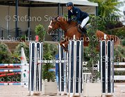 Cinelli Onida GioCav2013 S5 2310 : Campionati Italiani Giovani Cavalli, Cattolica, Cinelli Vincenzo, Onida, ph Stefano Secchi ©