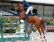 Cinelli Onida GioCav2013 S5 2314 : Campionati Italiani Giovani Cavalli, Cattolica, Cinelli Vincenzo, Onida, ph Stefano Secchi ©
