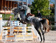 Codecasa Dream GioCav2013 S5 1215 : Campionati Italiani Giovani Cavalli, Cattolica, Codecasa Filippo, Dream di san patrignano, ph Stefano Secchi ©