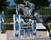 Codecasa Dream GioCav2013 S5 3895 : Campionati Italiani Giovani Cavalli, Cattolica, Codecasa Filippo, Dream di san patrignano, ph Stefano Secchi ©