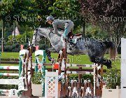 Codecasa Dream GioCav2013 S5 3902 : Campionati Italiani Giovani Cavalli, Cattolica, Codecasa Filippo, Dream di san patrignano, ph Stefano Secchi ©