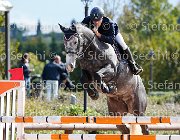 COLOMBO Conter GioCav2013 S5 3137 : COLOMBO Alessandro, Campionati Italiani Giovani Cavalli, Cattolica, Conter, ph Stefano Secchi ©