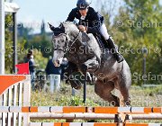 COLOMBO Conter GioCav2013 S5 3138 : COLOMBO Alessandro, Campionati Italiani Giovani Cavalli, Cattolica, Conter, ph Stefano Secchi ©
