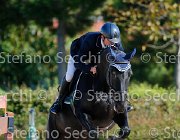 COLOMBO Dover GioCav2013 S5 1562 : COLOMBO Alessandro, Campionati Italiani Giovani Cavalli, Cattolica, Dover, ph Stefano Secchi ©