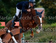 COLOMBO Tictoctac GioCav2013 S5 1453 : COLOMBO Alessandro, Campionati Italiani Giovani Cavalli, Cattolica, Tictoctac, ph Stefano Secchi ©