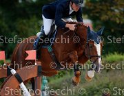 COLOMBO Tictoctac GioCav2013 S5 1454 : COLOMBO Alessandro, Campionati Italiani Giovani Cavalli, Cattolica, Tictoctac, ph Stefano Secchi ©