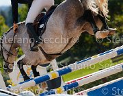 COLOMBO Toni GioCav2013 S5 3330 : COLOMBO Alessandro, Campionati Italiani Giovani Cavalli, Cattolica, Toni di Boscochiaro, ph Stefano Secchi ©