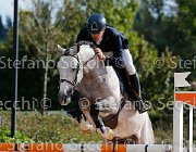 COLOMBO Toni GioCav2013 S5 3336 : COLOMBO Alessandro, Campionati Italiani Giovani Cavalli, Cattolica, Toni di Boscochiaro, ph Stefano Secchi ©