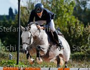 COLOMBO Toni GioCav2013 S5 3338 : COLOMBO Alessandro, Campionati Italiani Giovani Cavalli, Cattolica, Toni di Boscochiaro, ph Stefano Secchi ©