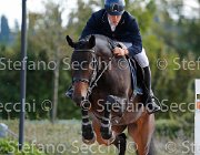 Colombo Landryc GioCav2013 S5 3305 : COLOMBO Alessandro, Campionati Italiani Giovani Cavalli, Cattolica, Landryc dell'Aurea Dragonda, ph Stefano Secchi ©