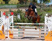 Colombo XX GioCav2013 S5 1930 : COLOMBO Alessandro, Campionati Italiani Giovani Cavalli, Cattolica, ph Stefano Secchi ©