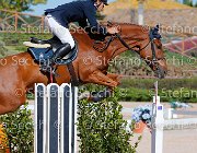 Colombo XX GioCav2013 S5 1935 : COLOMBO Alessandro, Campionati Italiani Giovani Cavalli, Cattolica, ph Stefano Secchi ©