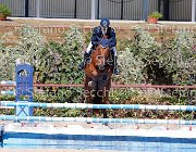 Colombo XX GioCav2013 S5 1937 : COLOMBO Alessandro, Campionati Italiani Giovani Cavalli, Cattolica, ph Stefano Secchi ©