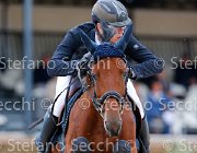 Cuva Billecart GioCav2013 S5 2259 : Billecart Baloubet, Campionati Italiani Giovani Cavalli, Cattolica, Cuva Daniele, ph Stefano Secchi ©