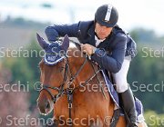 D'aquila Adretto GioCav2013 S5 3090 : Adretto FZ, Campionati Italiani Giovani Cavalli, Cattolica, D'aquila Fabio, ph Stefano Secchi ©