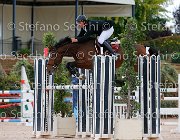 Falzini Birka GioCav2013 S5 2241 : Birka, Campionati Italiani Giovani Cavalli, Cattolica, Falzini Stefano, ph Stefano Secchi ©