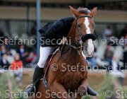 Falzini Idea GioCav2013 S5 3400 : Campionati Italiani Giovani Cavalli, Cattolica, Falzini Stefano, Idea meravigliosa, ph Stefano Secchi ©