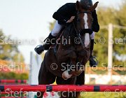 Falzini Idea GioCav2013 S5 3531 : Campionati Italiani Giovani Cavalli, Cattolica, Falzini Stefano, Idea meravigliosa, ph Stefano Secchi ©
