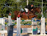 Falzini Idea GioCav2013 S5 3537 : Campionati Italiani Giovani Cavalli, Cattolica, Falzini Stefano, Idea meravigliosa, ph Stefano Secchi ©