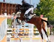 Falzini Nakupenda GioCav2013 S5 1266 : Campionati Italiani Giovani Cavalli, Cattolica, Falzini Stefano, Nakupenda, ph Stefano Secchi ©