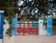 FERRARIO Acamar GioCav2013 S5 3358 : Acamar, Campionati Italiani Giovani Cavalli, Cattolica, FERRARIO Massimiliano, ph Stefano Secchi ©