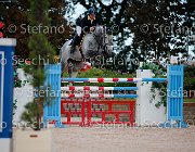 FERRARIO Acamar GioCav2013 S5 3359 : Acamar, Campionati Italiani Giovani Cavalli, Cattolica, FERRARIO Massimiliano, ph Stefano Secchi ©