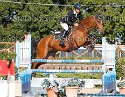 FERRARIO Acamar GioCav2013 S6 7515 : Acamar, Campionati Italiani Giovani Cavalli, Cattolica, FERRARIO Massimiliano, ph Stefano Secchi ©