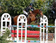 FERRARIO Acamar GioCav2013 S6 7517 : Acamar, Campionati Italiani Giovani Cavalli, Cattolica, FERRARIO Massimiliano, ph Stefano Secchi ©