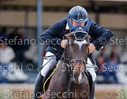 FERRARIO Noa GioCav2013 S5 2342 : Campionati Italiani Giovani Cavalli, Cattolica, FERRARIO Massimiliano, Noa, ph Stefano Secchi ©