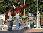 FRANA Arcibaldo GioCav2013 S5 3543 : Arcibaldo, Campionati Italiani Giovani Cavalli, Cattolica, FRANA Enrico Maria, ph Stefano Secchi ©