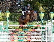 FRANA Arcibaldo GioCav2013 S6 7627 : Arcibaldo, Campionati Italiani Giovani Cavalli, Cattolica, FRANA Enrico Maria, ph Stefano Secchi ©