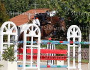 FRANA Arcibaldo GioCav2013 S6 7630 : Arcibaldo, Campionati Italiani Giovani Cavalli, Cattolica, FRANA Enrico Maria, ph Stefano Secchi ©