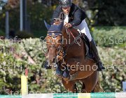 FRANA Arcibaldo GioCav2013 S6 7633 : Arcibaldo, Campionati Italiani Giovani Cavalli, Cattolica, FRANA Enrico Maria, ph Stefano Secchi ©